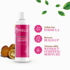 Mielle Organics Exfoliating Shampoo dispensing pump emphasizes easy everyday use.
