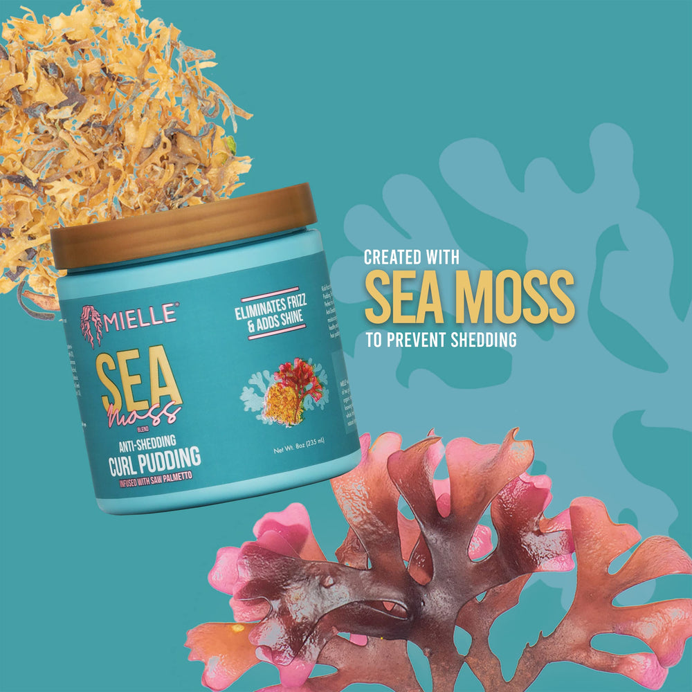 Mielle Organics Sea Moss Curl Pudding highlights defined curls and long-lasting hold.