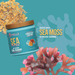 Mielle Organics Sea Moss Curl Pudding highlights defined curls and long-lasting hold.