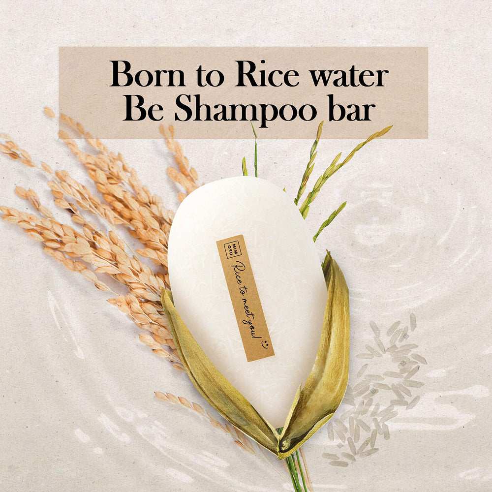 mimosu recyclable sugar cane packaging emphasizing sustainability