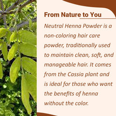 minature Pure Neutral Henna Powder Cassia Obovata being sifted for smooth mixing