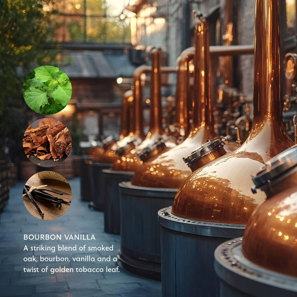 Mistral golden-tobacco-leaf fragrance image suggests warm, masculine aroma ideal for daily grooming.