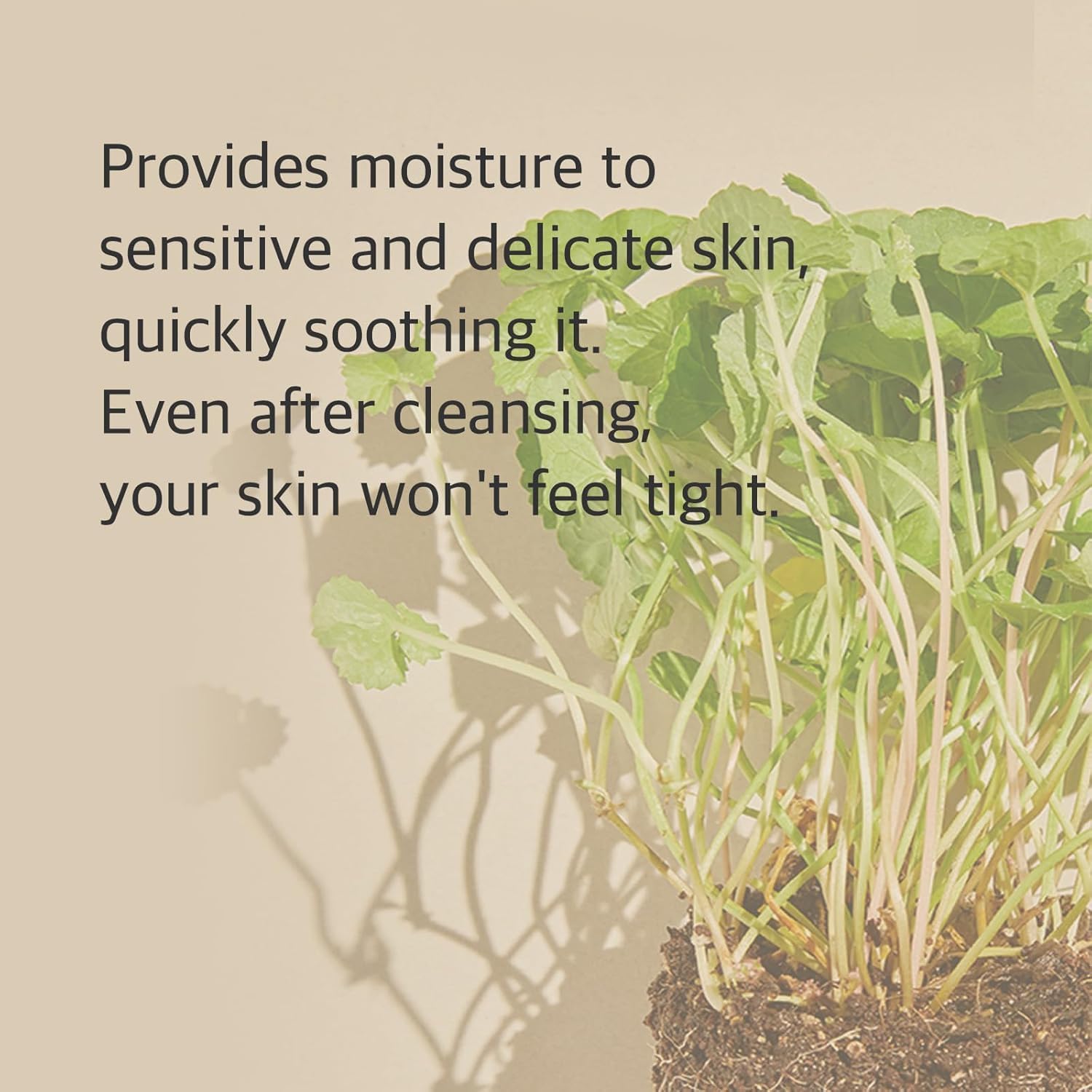 mixsoon Centella Cleansing Foam rich foam lather cleanses pores with microbubbles