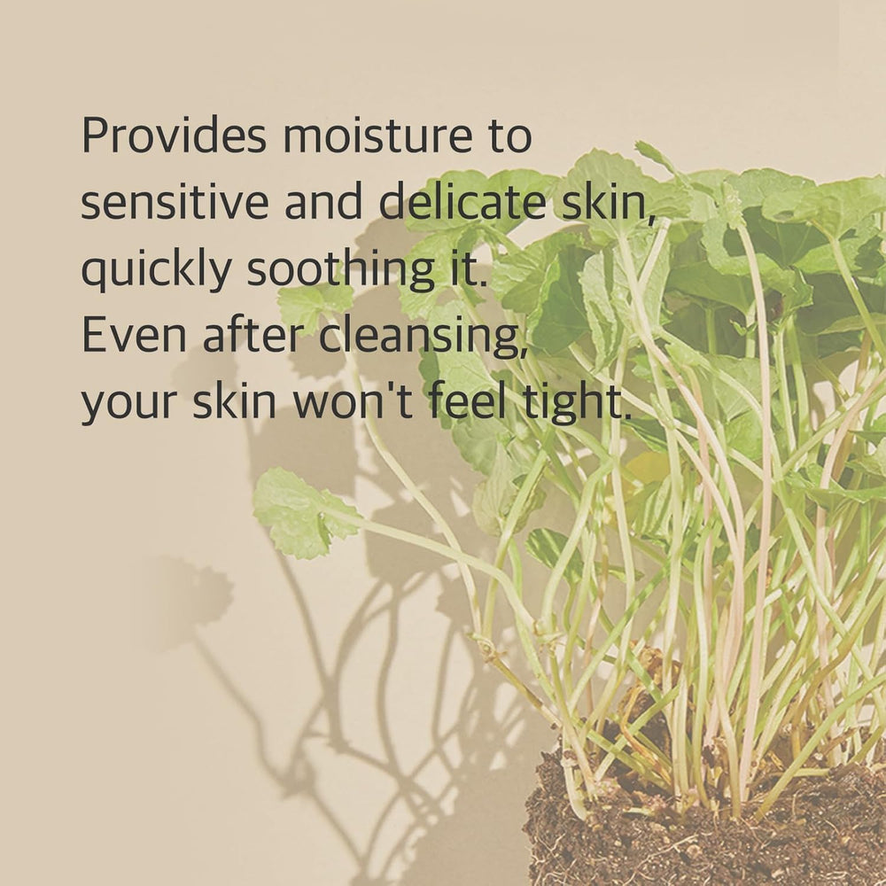 mixsoon Centella Cleansing Foam rich foam lather cleanses pores with microbubbles