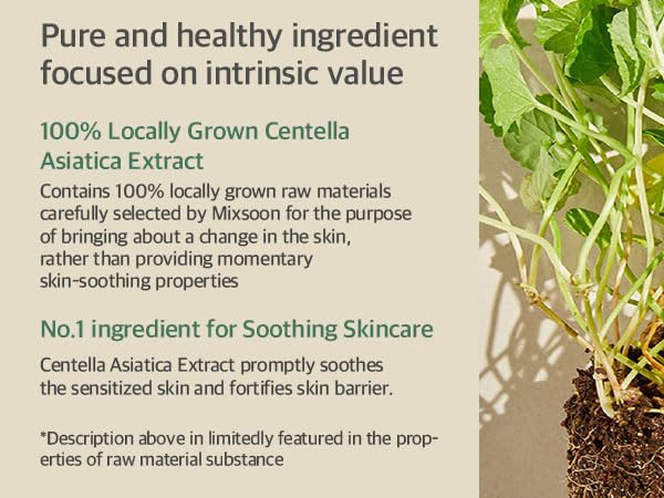 mixsoon Soondy Jeju island cica extract focus featuring natural healing-inspired care