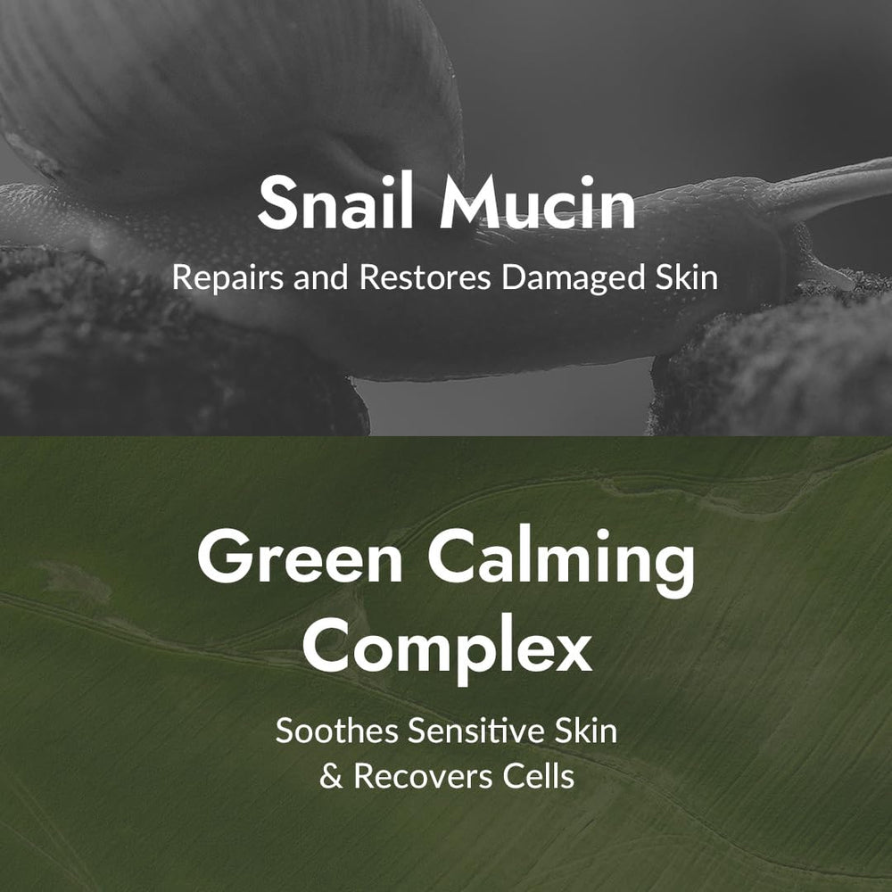 MIZON 12 natural extracts graphic with centella, raspberry, mugwort soothing skin