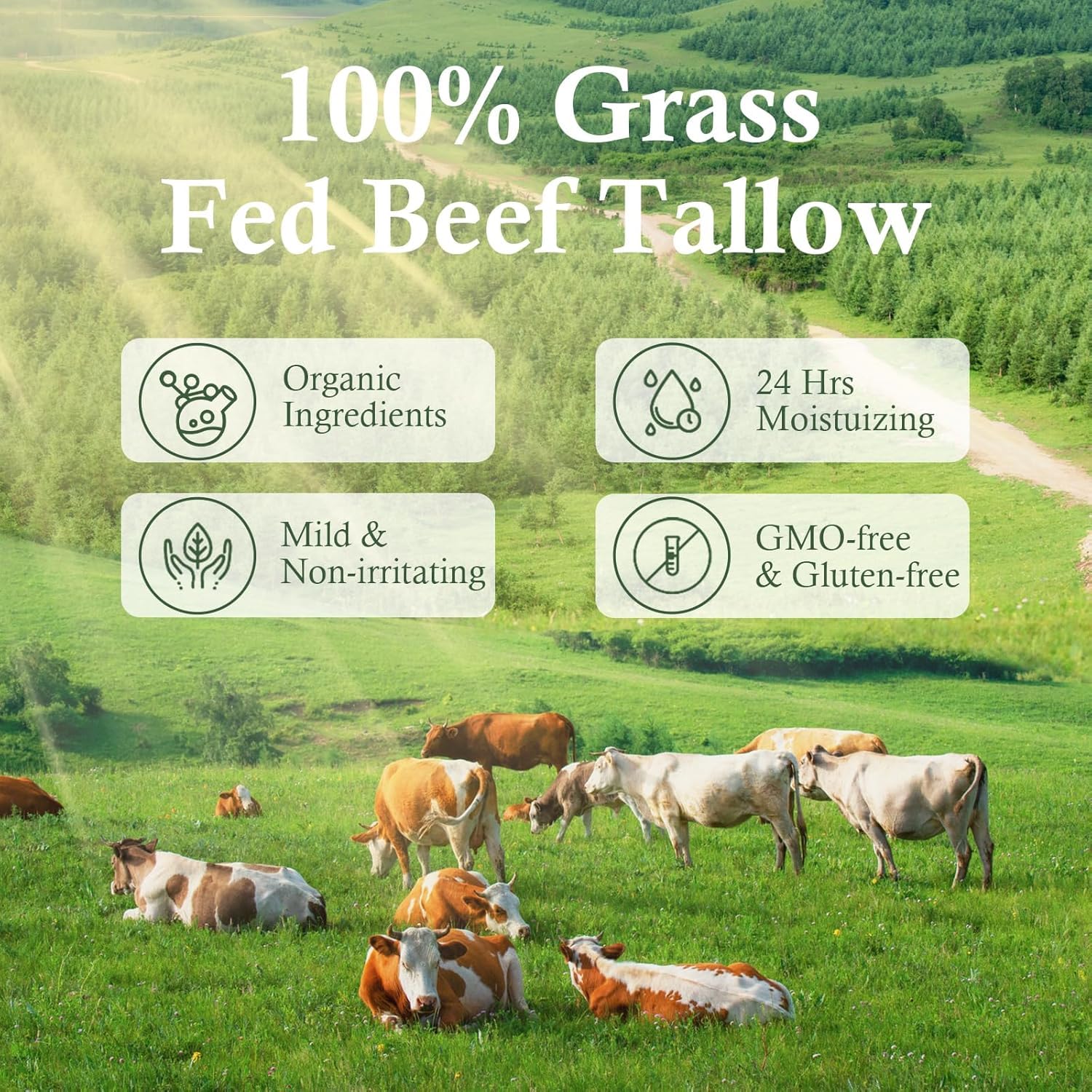 MKZEA pure honey-infused beef tallow image conveys antioxidant-inspired skin nourishment.