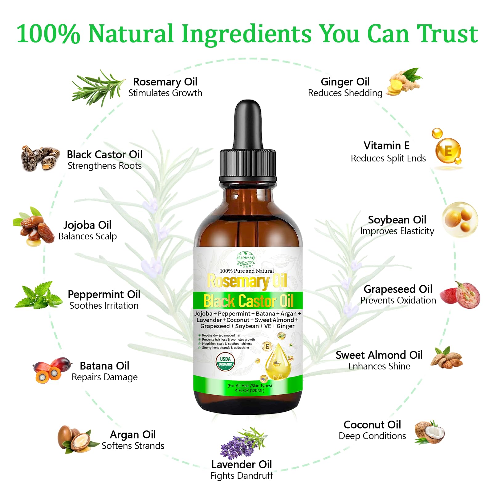 MMPANG rosemary oil ingredients highlight castor and peppermint blend.