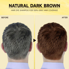 MOISTAR dark brown dye shampoo bottle closeup highlights color coverage