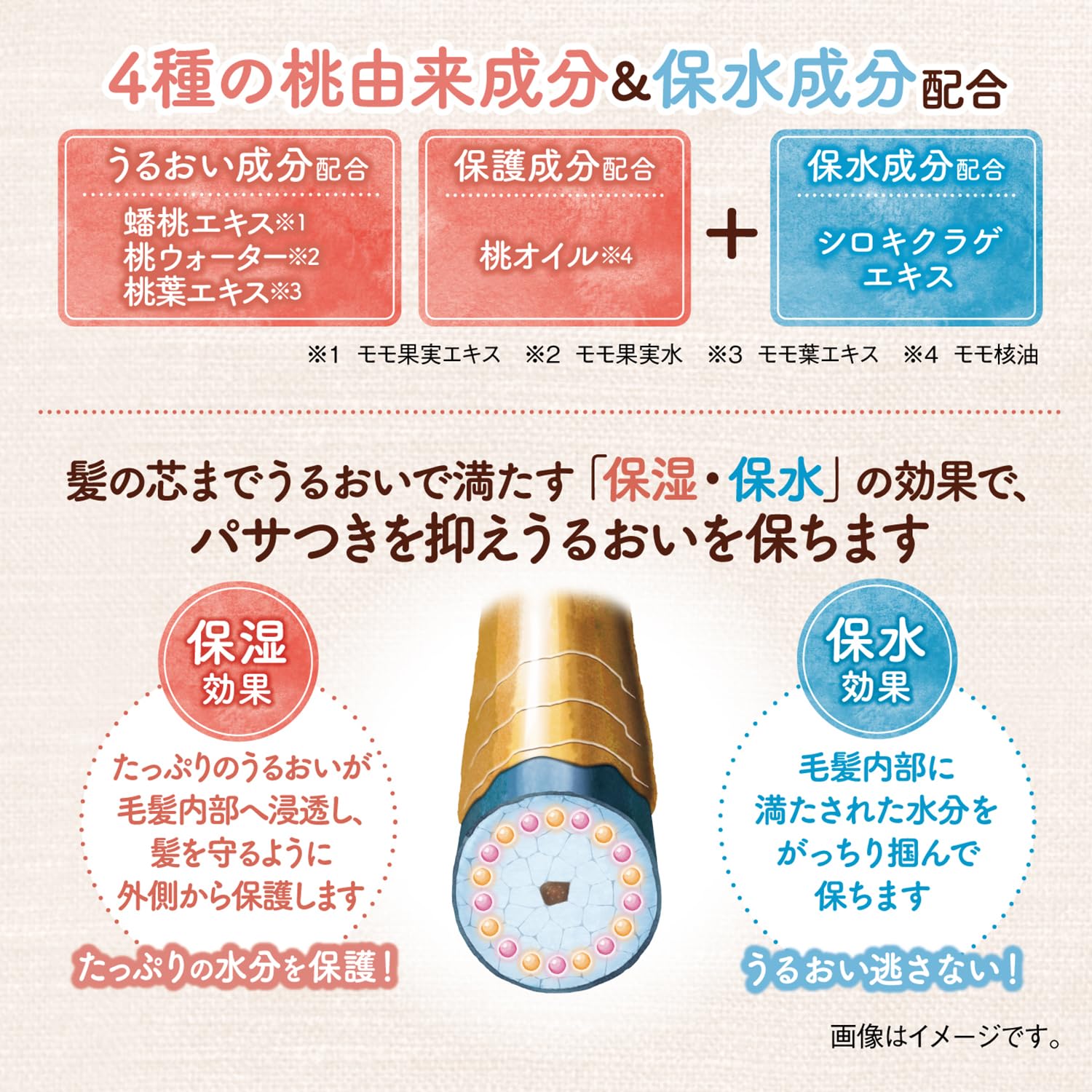 momori dariya peach oil hair protection closeup emphasizes shielding strands during styling.