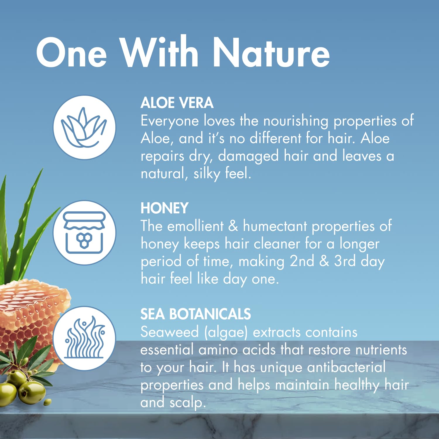 MopTop ingredients aloe honey olive oil illustrate botanicals nourishing natural shine and slip.