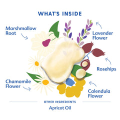 Motherlove Pregnant Belly Oil ingredients close-up features marshmallow root and calendula.