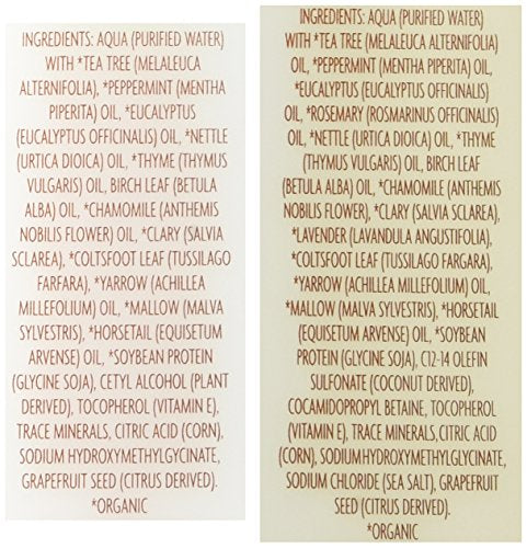 Mroobest Trader Joe's Tea Tree Tingle pack — cruelty-free, sulfate-free hair care routine.