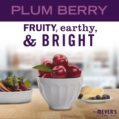 Close-up of Aloe Vera in Plum Berry formula for hydration