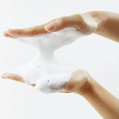 Muse Apothecary Hand Ritual aloe-plant image suggests nourishing skin care with soothing hydration.