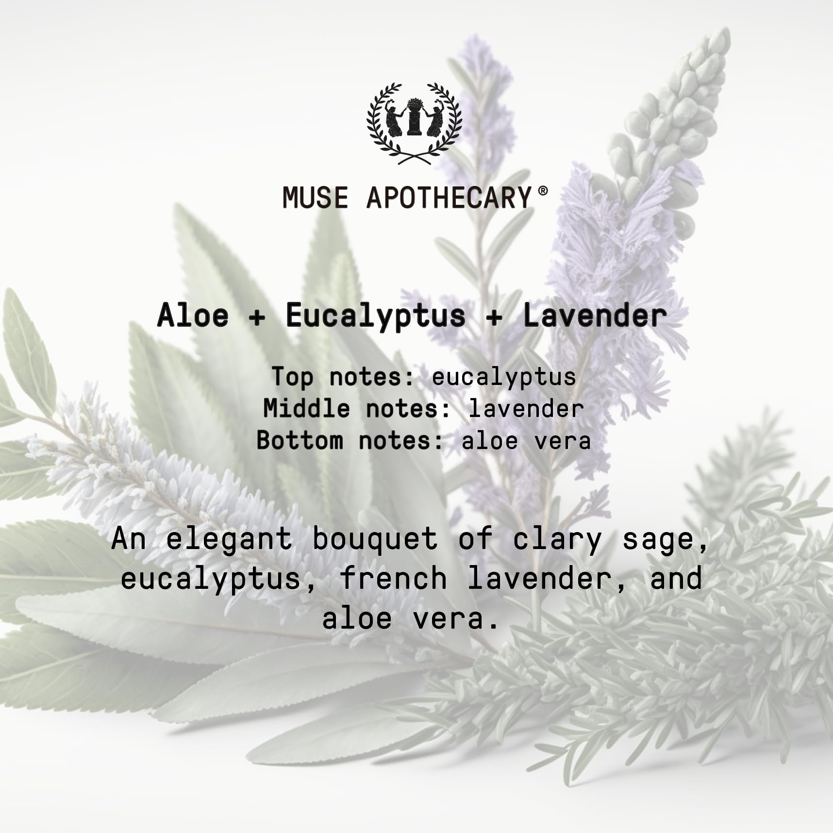 Gift-ready Muse Hand Ritual set, ideal for gifting or backups.