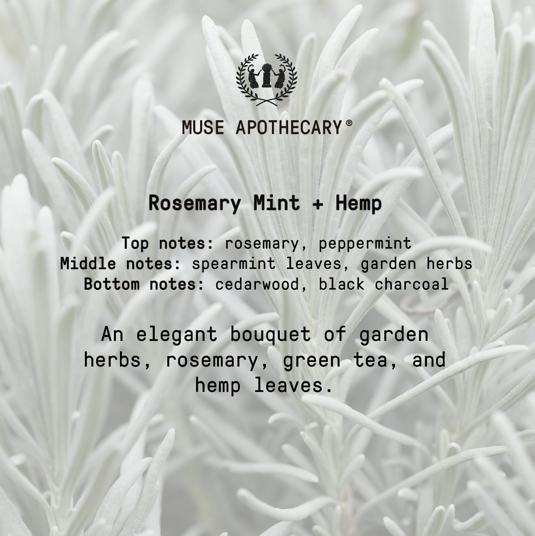 Muse Apothecary Hand Ritual three-pack display demonstrates value and convenience