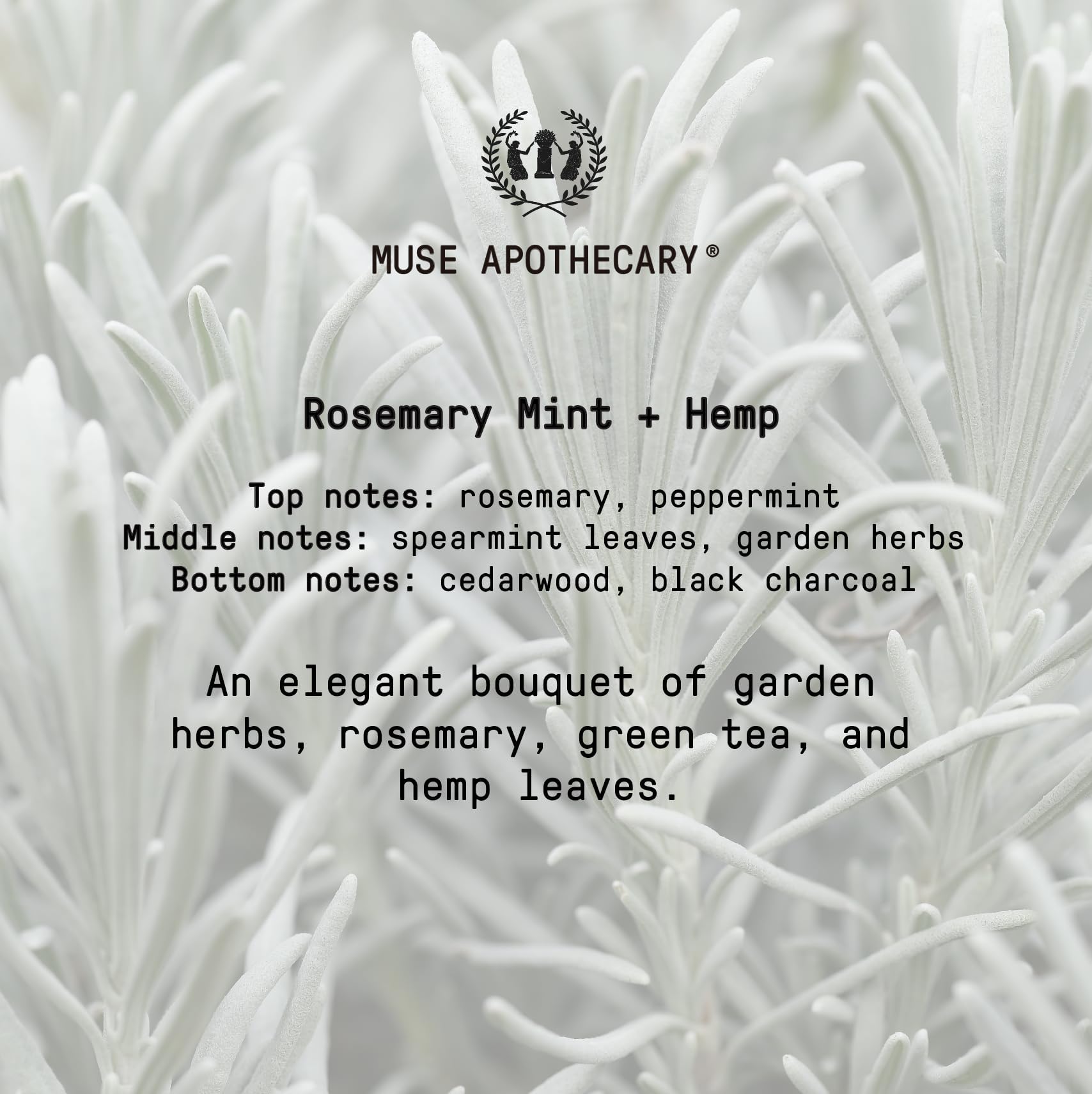Muse Apothecary Hand Ritual US-made product on home sink