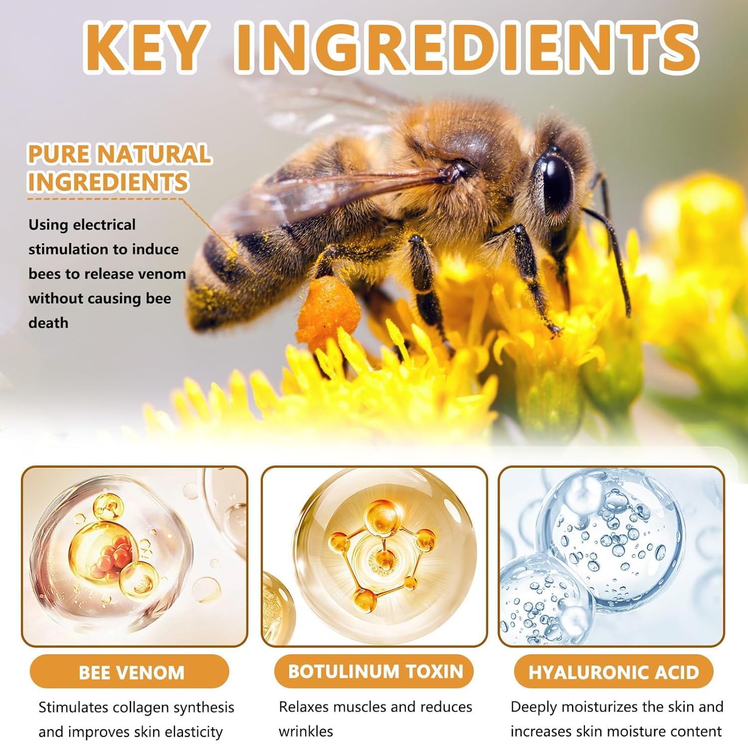 Musellot Bee Venom Cream ingredients illustration highlights natural actives for gentle care