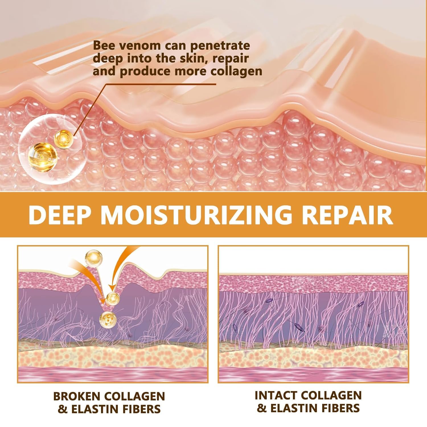 Musellot Bee Venom Cream on hand highlights versatile use for firmer skin