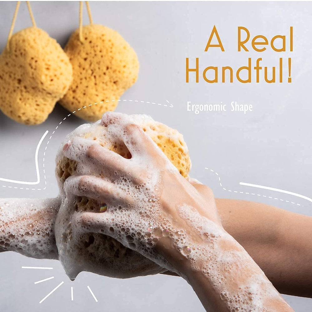 MyHomeBody curved-design sponge fits hands comfortably for steady cleansing.