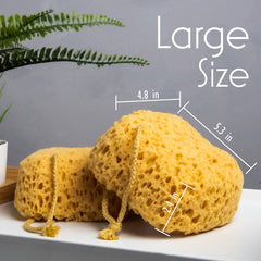 MyHomeBody body scrubber showing soft scrub action for gentle exfoliation.