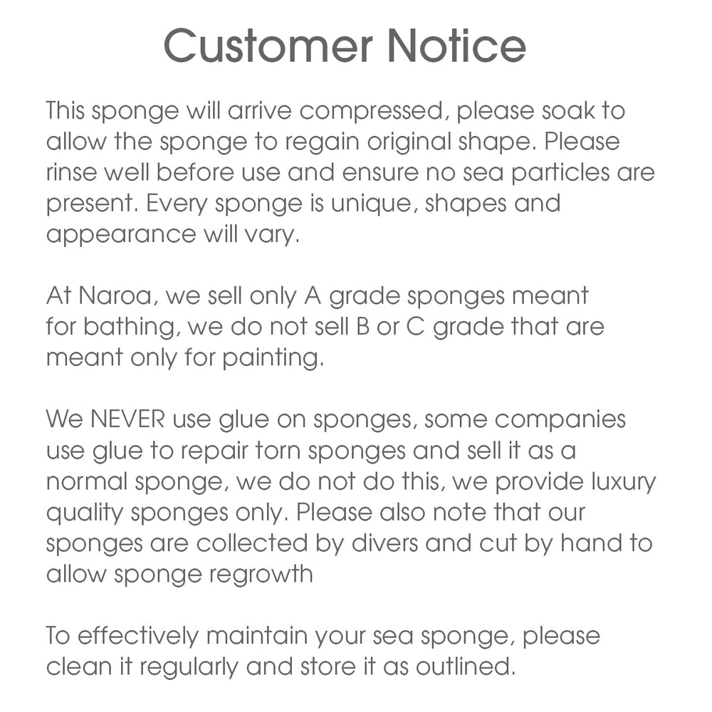 Naroa Plastic-free sustainable sponge highlighting eco-friendly care routine.