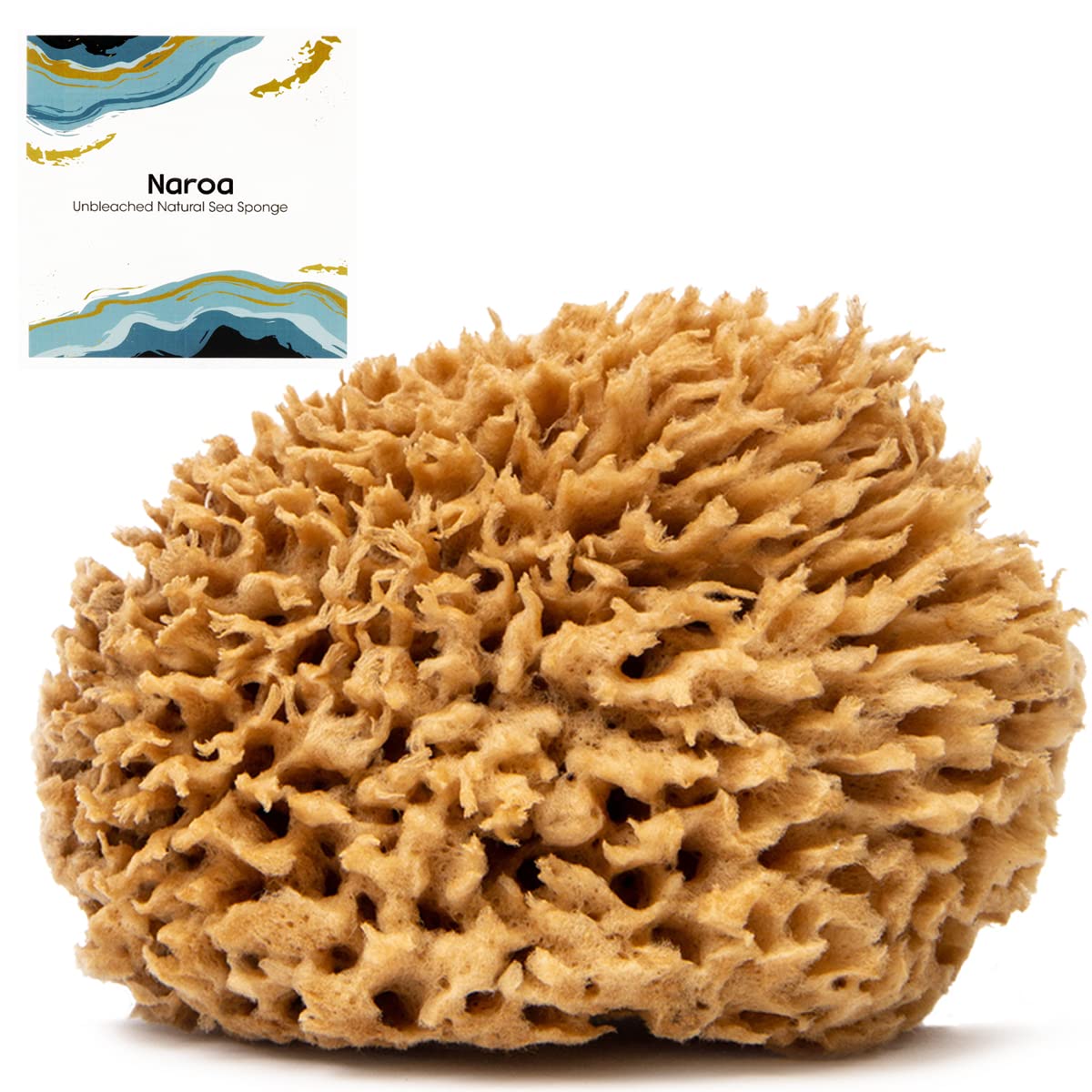 Naroa Soft Natural Sponge Large close-up texture for gentle exfoliation and smooth skin.