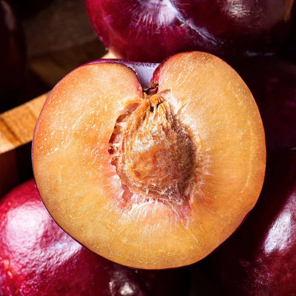 NATIVA SPA Plum Body Oil on-skin — absorbs quickly for non-greasy, velvety feel.