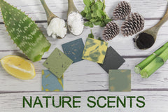 NATURAL AMERICAN ELEMENTS citrus bamboo bar soap – zesty fragrance with skin-nourishing oils.
