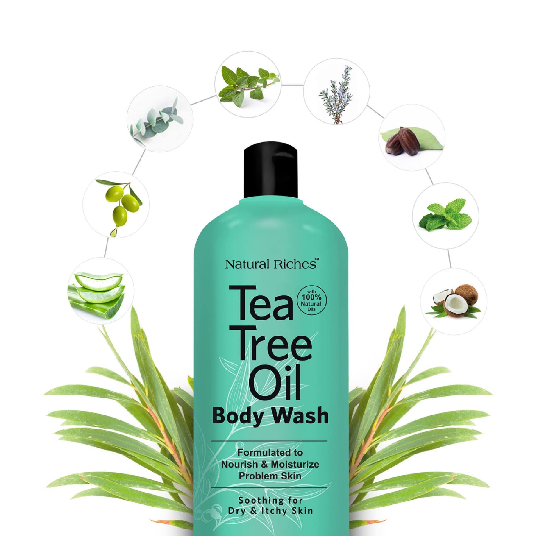 Natural Riches Tea Tree Oil Body Wash lather demonstrates rich cleansing suitable for sensitive skin.