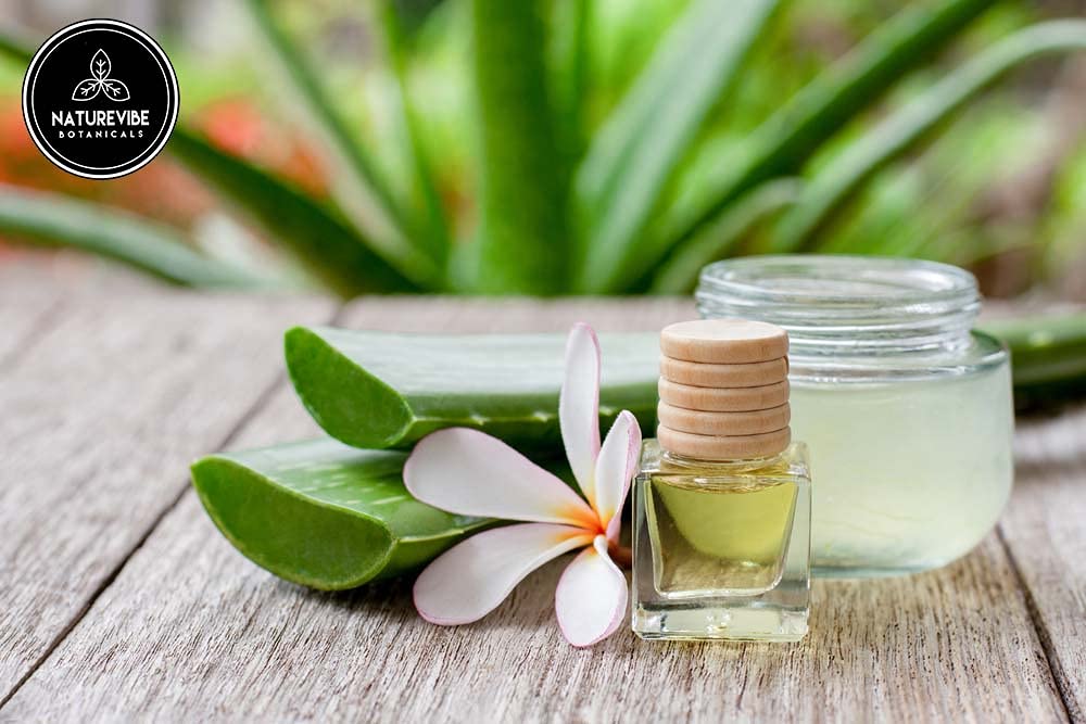 Naturevibe Botanicals Aloe Vera Oil skin application for hydration and non-greasy feel.