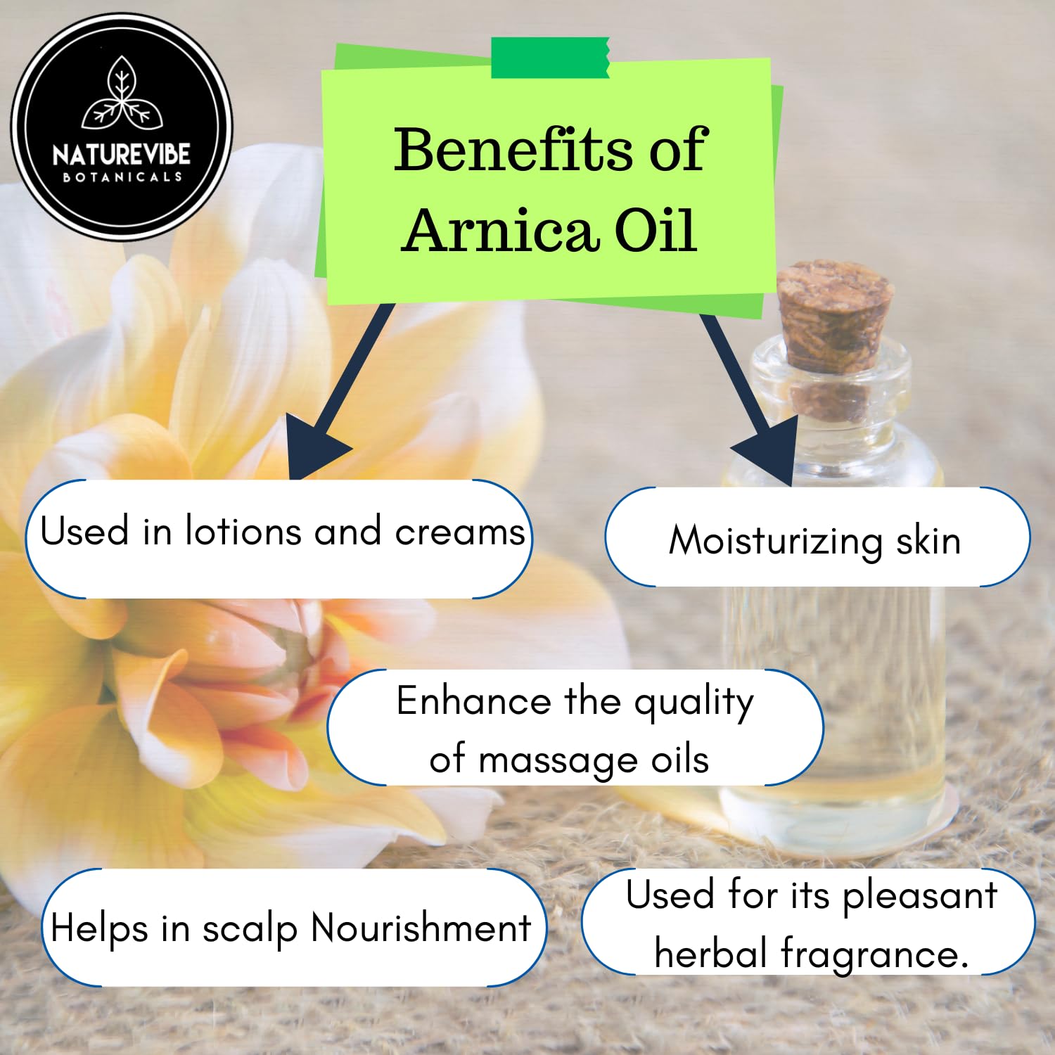 Naturevibe Botanicals Arnica Oil for hair care, smoothing and conditioning.