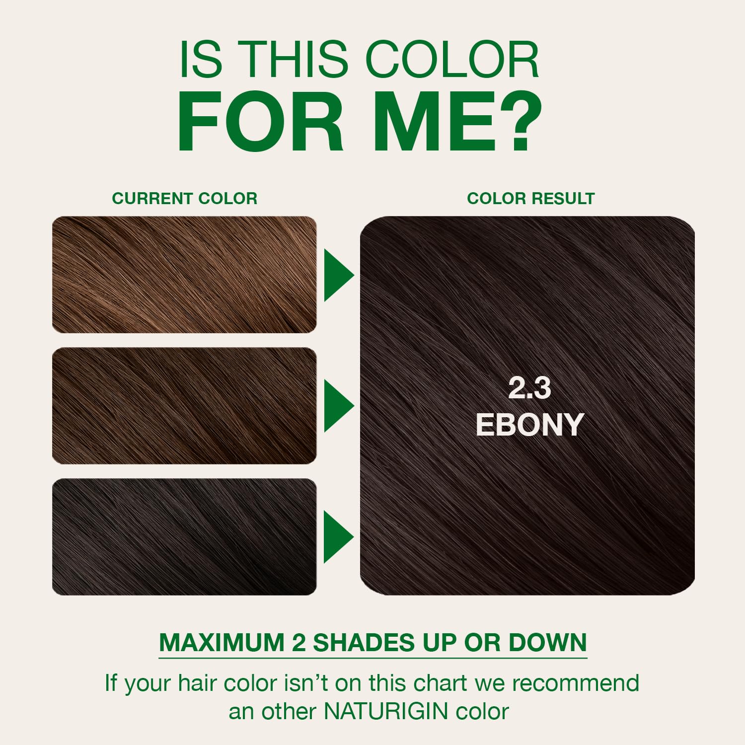 Naturigin Ebony Black after-color treatment tube for hair conditioning.