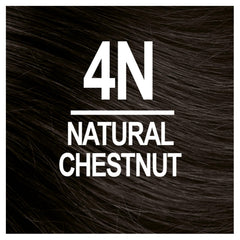 Naturtint Mens natural chestnut 4N bottle for at-home color