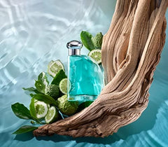 Nautica Classic EDT amber-patchouli note focus for warm, masculine scent profile.