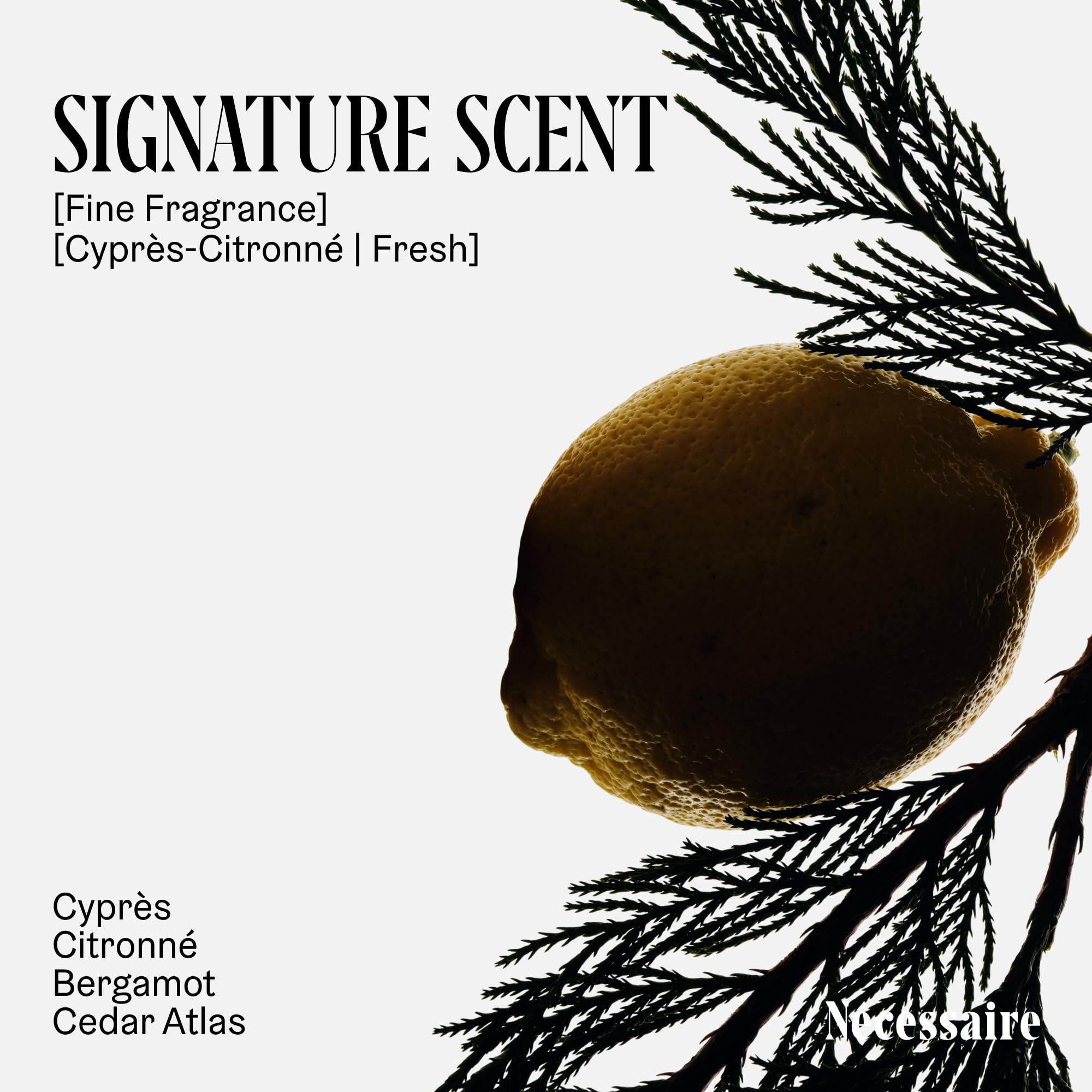 Nécessaire The Body Lotion Fragrance notes visual conveys citronné and woody finish.