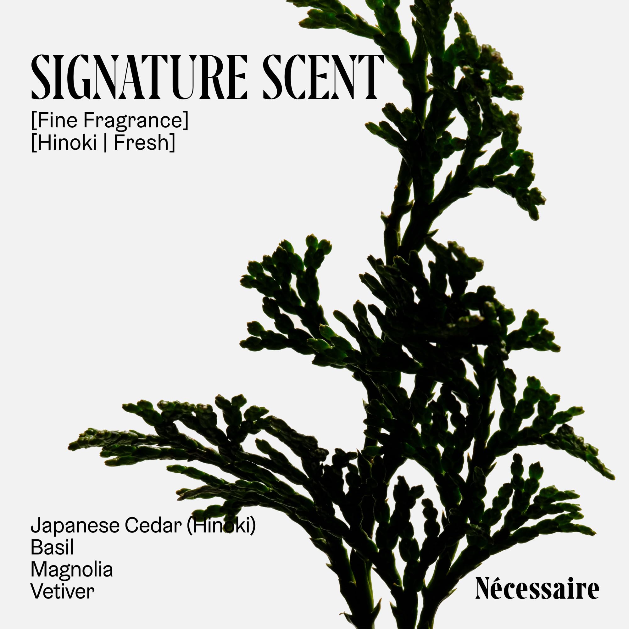 Nécessaire Hinoki daily ritual scene suggesting long-lasting freshness as part of body care.