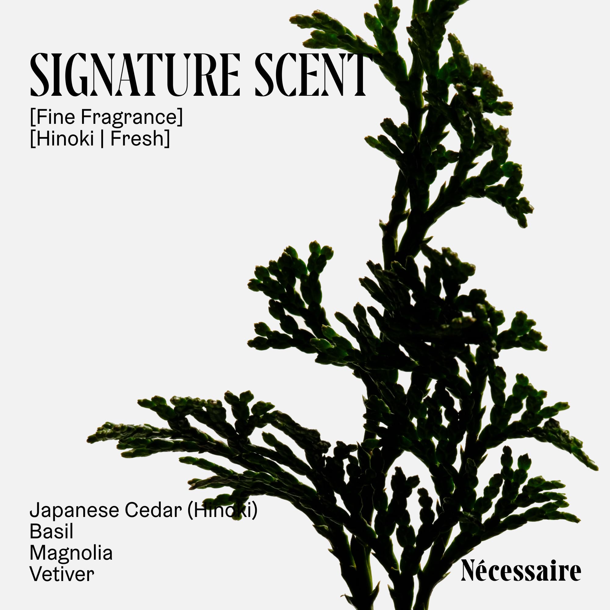 Nécessaire Hinoki label detail emphasizes dermatologist-tested and vegan credentials.