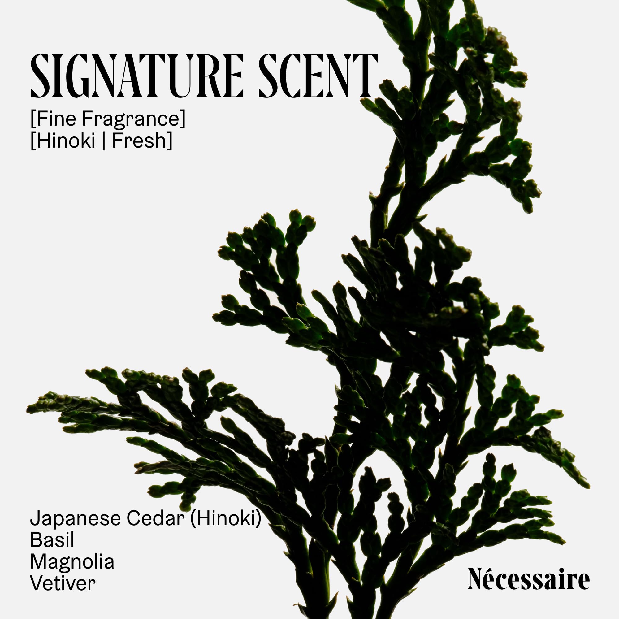 Nécessaire hypoallergenic and non-comedogenic label supports everyday comfort.