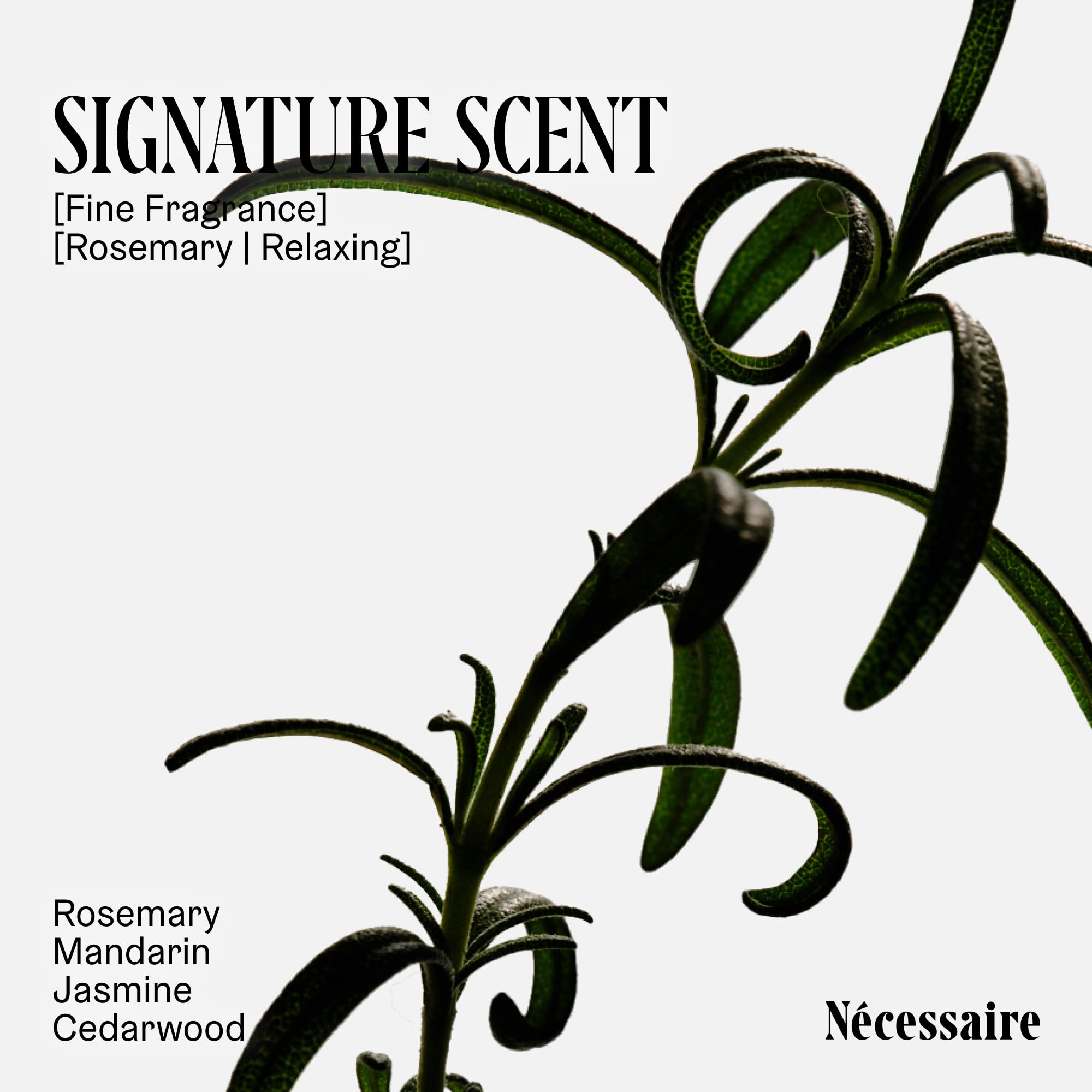 Nécessaire Rosemary Shampoo color-safe-closeup on color-treated hair demonstrates safe-use.