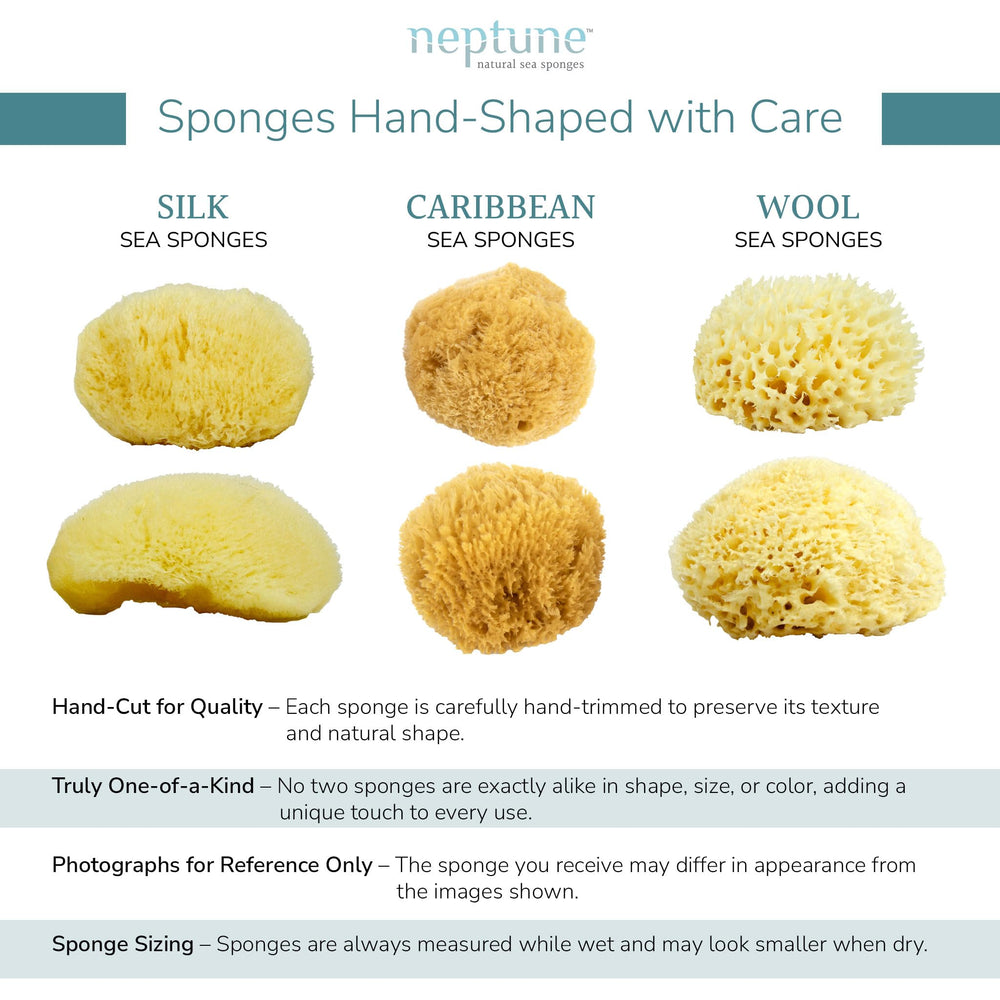 Neptune Caribbean Sea Sponge care-rinse baking-soda — easy maintenance and extended life.
