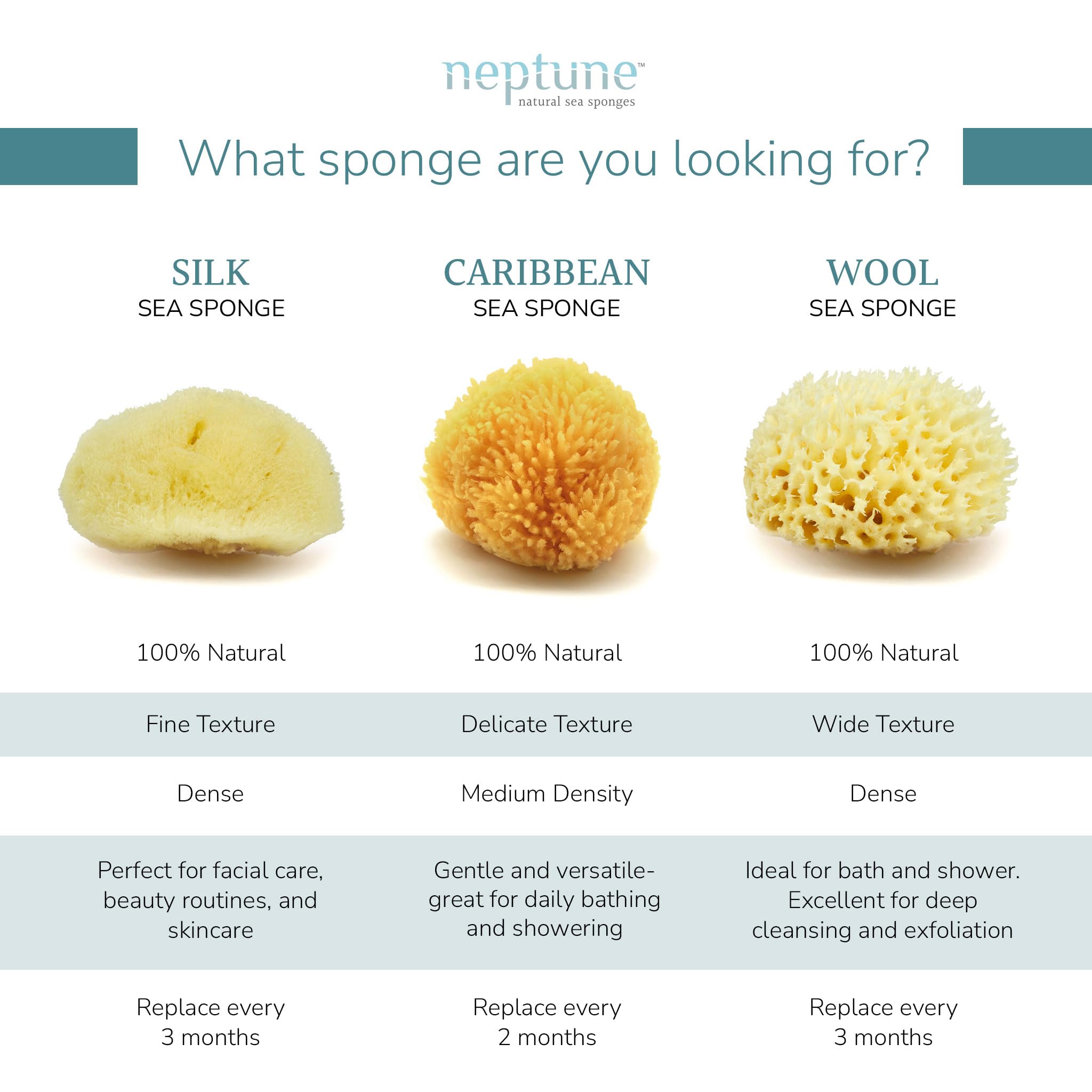 Neptune Caribbean Sea Sponge daily-care use — absorbent and gentle for bath routines.