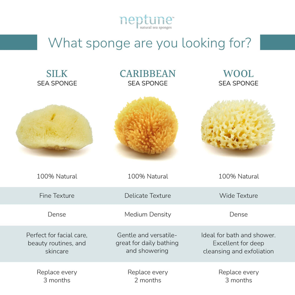 Neptune Caribbean Sea Sponge daily-care use — absorbent and gentle for bath routines.