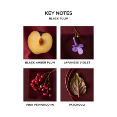 NEST New York Black Tulip 8 mL travel size offers discreet scenting