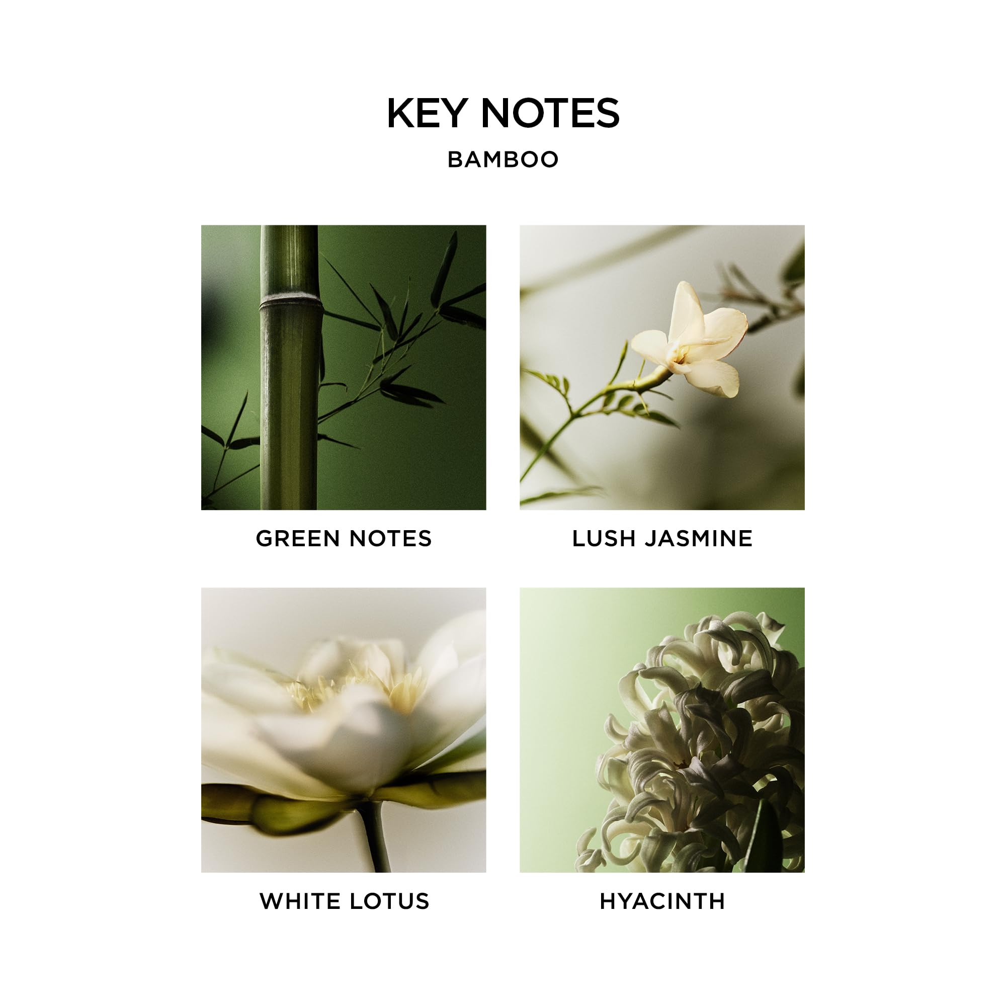 NEST New York Bamboo hand-dispense shot shows convenient cleansing with a refined aroma.