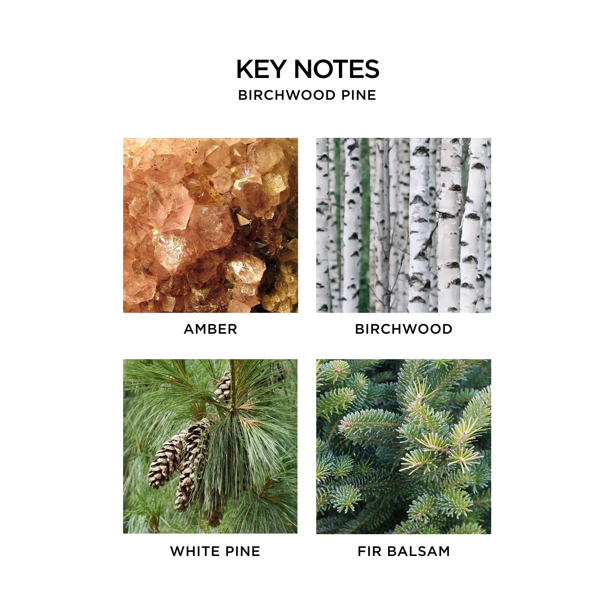 NEST New York Birchwood Pine aroma close-up suggests winter forest ambiance