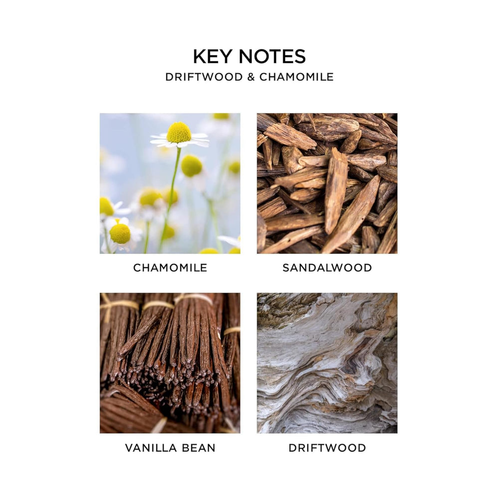 Nest New York Liquid Soap driftwood chamomile pump highlights a soothing nightly routine