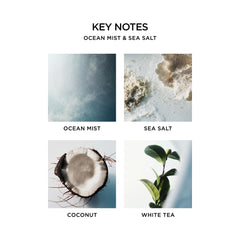 NEST New York Ocean Mist label and packaging close-up for premium design.