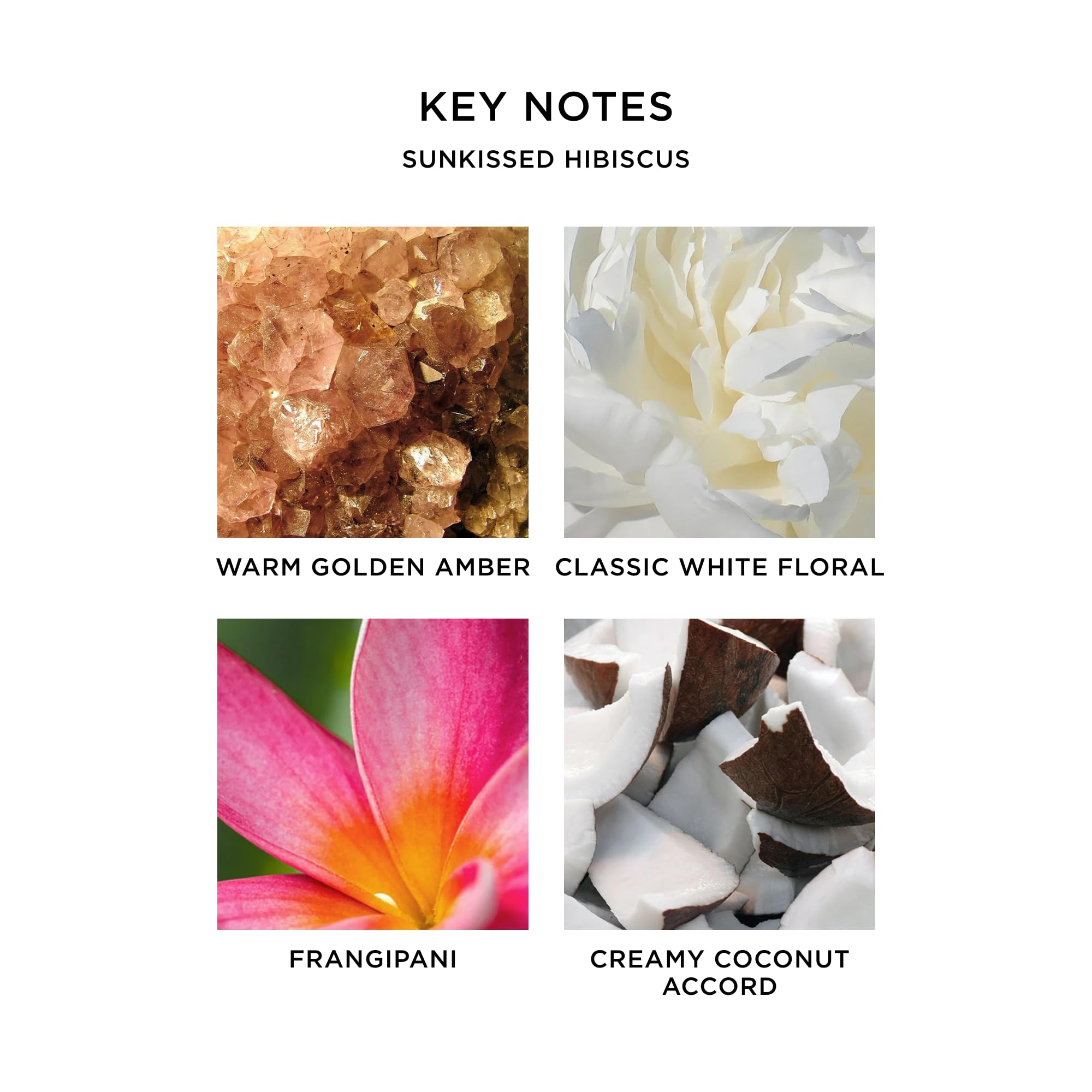 NEST New York Sunkissed Hibiscus shows amber-golden hue for warm glow